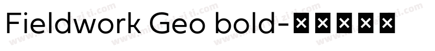 Fieldwork Geo bold字体转换